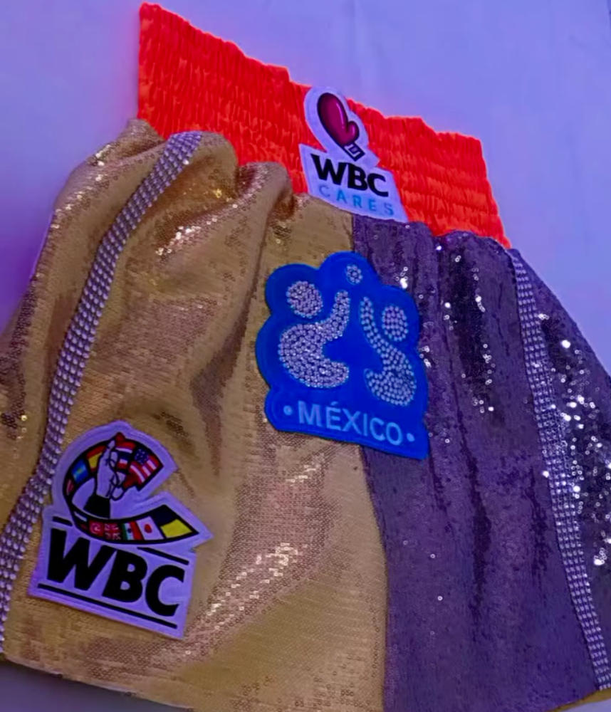 Mexican Talent Shines in WBC Design Contest